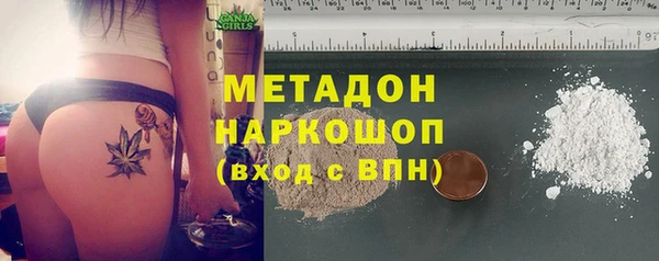 PSILOCYBIN Аркадак