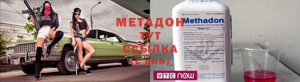 PSILOCYBIN Аркадак