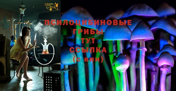 дмт Арсеньев